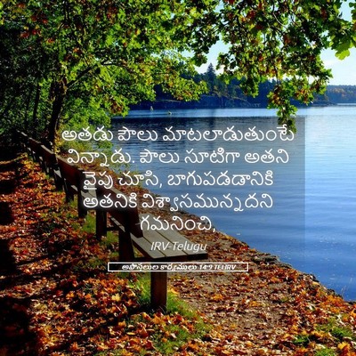 Picture 05 - అపొస్తలుల కార్యములు 14:9 TELIRV - అతడు పౌలు - Bible Verse Picture