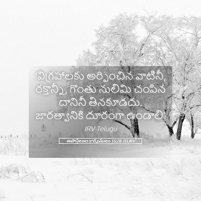 Picture 05 - అపొస్తలుల కార్యములు 15:28 TELIRV - ‘విగ్రహాలకు - Bible Verse Picture