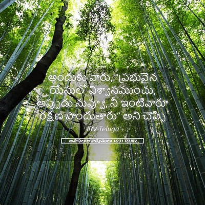 Picture 05 - అపొస్తలుల కార్యములు 16:31 TELIRV - అందుకు వారు, - Bible Verse Picture