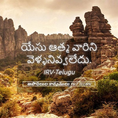 Picture 05 - అపొస్తలుల కార్యములు 16:7 TELIRV - యేసు ఆత్మ వారిని - Bible Verse Picture