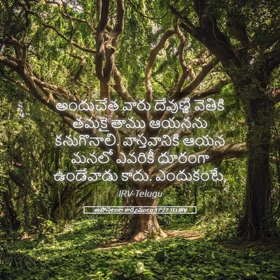 Picture 05 - అపొస్తలుల కార్యములు 17:27 TELIRV - అందుచేత వారు - Bible Verse Picture
