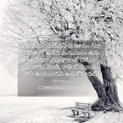 Picture 05 - అపొస్తలుల కార్యములు 17:29 TELIRV - కాబట్టి మనం - Bible Verse Picture