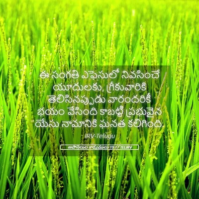 Picture 05 - అపొస్తలుల కార్యములు 19:17 TELIRV - ఈ సంగతి ఎఫెసులో - Bible Verse Picture