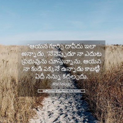 Picture 05 - అపొస్తలుల కార్యములు 2:25 TELIRV - “ఆయన గూర్చి - Bible Verse Picture