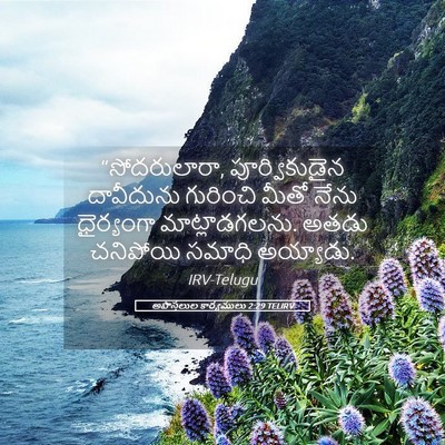 Picture 05 - అపొస్తలుల కార్యములు 2:29 TELIRV - “సోదరులారా, - Bible Verse Picture