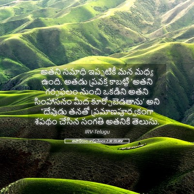 Picture 05 - అపొస్తలుల కార్యములు 2:30 TELIRV - అతని సమాధి - Bible Verse Picture