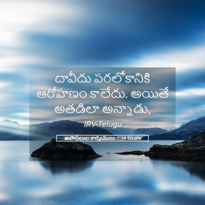 Picture 05 - అపొస్తలుల కార్యములు 2:34 TELIRV - దావీదు పరలోకానికి - Bible Verse Picture