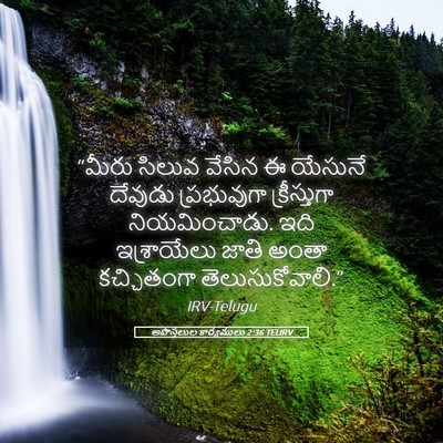 Picture 05 - అపొస్తలుల కార్యములు 2:36 TELIRV - “మీరు సిలువ వేసిన - Bible Verse Picture