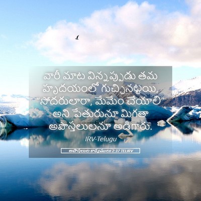 Picture 05 - అపొస్తలుల కార్యములు 2:37 TELIRV - వారీ మాట - Bible Verse Picture