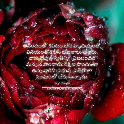 Picture 05 - అపొస్తలుల కార్యములు 2:47 TELIRV - ఆనందంతో, కపటం లేని - Bible Verse Picture
