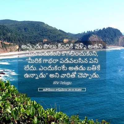 Picture 05 - అపొస్తలుల కార్యములు 20:10 TELIRV - అప్పుడు పౌలు - Bible Verse Picture
