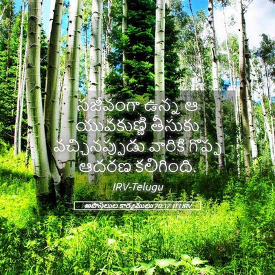 Picture 05 - అపొస్తలుల కార్యములు 20:12 TELIRV - సజీవంగా ఉన్న ఆ - Bible Verse Picture