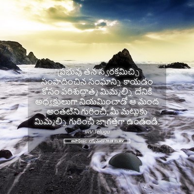 Picture 05 - అపొస్తలుల కార్యములు 20:28 TELIRV - “ప్రభువు తన - Bible Verse Picture