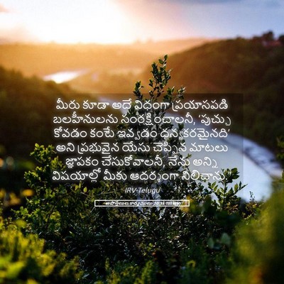 Picture 05 - అపొస్తలుల కార్యములు 20:35 TELIRV - మీరు కూడా అదే - Bible Verse Picture