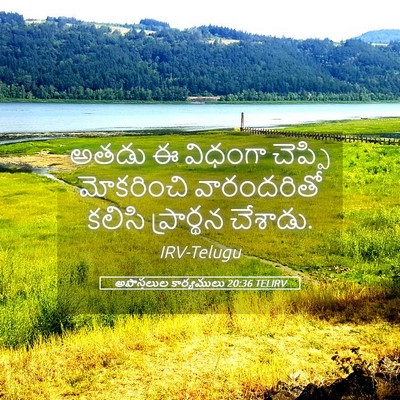 Picture 05 - అపొస్తలుల కార్యములు 20:36 TELIRV - అతడు ఈ విధంగా - Bible Verse Picture