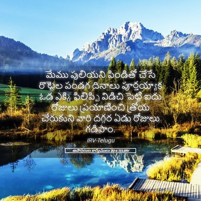 Picture 05 - అపొస్తలుల కార్యములు 20:6 TELIRV - మేము పులియని - Bible Verse Picture