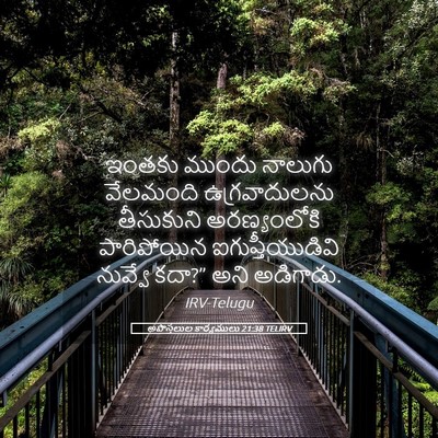 Picture 05 - అపొస్తలుల కార్యములు 21:38 TELIRV - ఇంతకు ముందు - Bible Verse Picture