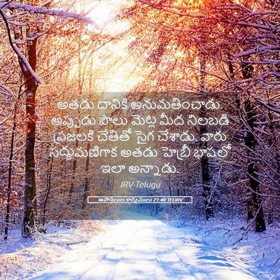 Picture 05 - అపొస్తలుల కార్యములు 21:40 TELIRV - అతడు దానికి - Bible Verse Picture