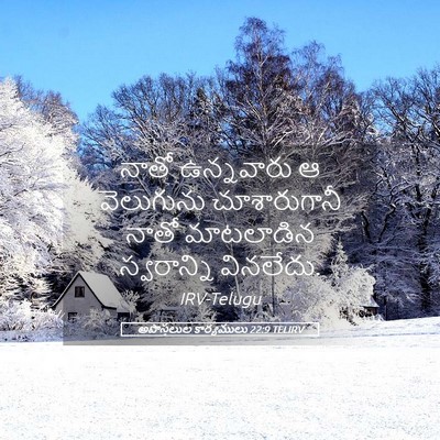Picture 05 - అపొస్తలుల కార్యములు 22:9 TELIRV - నాతో ఉన్నవారు ఆ - Bible Verse Picture