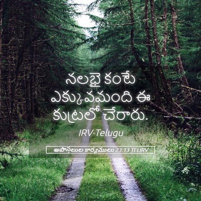 Picture 05 - అపొస్తలుల కార్యములు 23:13 TELIRV - నలభై కంటే - Bible Verse Picture