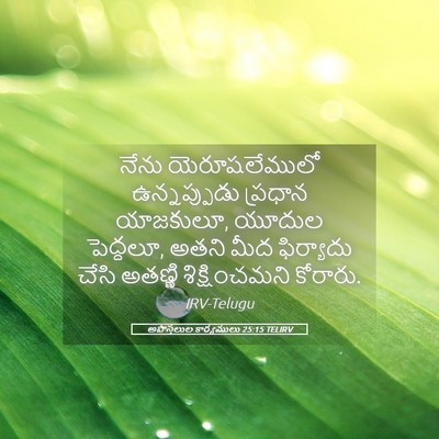 Picture 05 - అపొస్తలుల కార్యములు 25:15 TELIRV - నేను యెరూషలేములో - Bible Verse Picture
