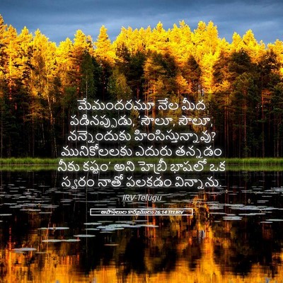 Picture 05 - అపొస్తలుల కార్యములు 26:14 TELIRV - మేమందరమూ నేల మీద - Bible Verse Picture