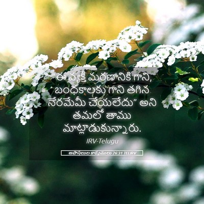 Picture 05 - అపొస్తలుల కార్యములు 26:31 TELIRV - “ఈ వ్యక్తి - Bible Verse Picture