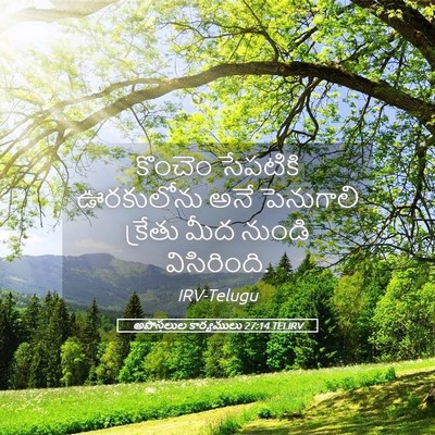 Picture 05 - అపొస్తలుల కార్యములు 27:14 TELIRV - కొంచెం సేపటికి - Bible Verse Picture