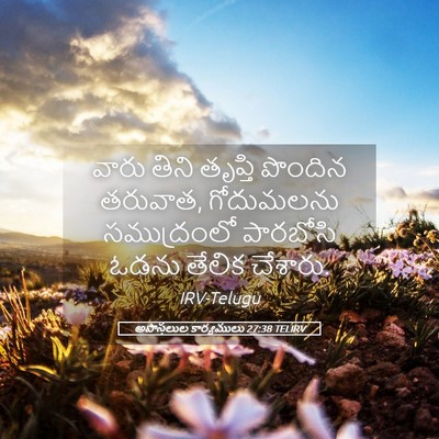 Picture 05 - అపొస్తలుల కార్యములు 27:38 TELIRV - వారు తిని తృప్తి - Bible Verse Picture