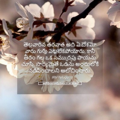 Picture 05 - అపొస్తలుల కార్యములు 27:39 TELIRV - తెల్లవారిన తరవాత - Bible Verse Picture