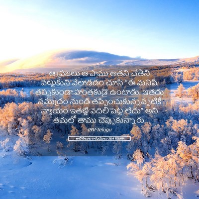 Picture 05 - అపొస్తలుల కార్యములు 28:4 TELIRV - ఆ ప్రజలు ఆ పాము - Bible Verse Picture