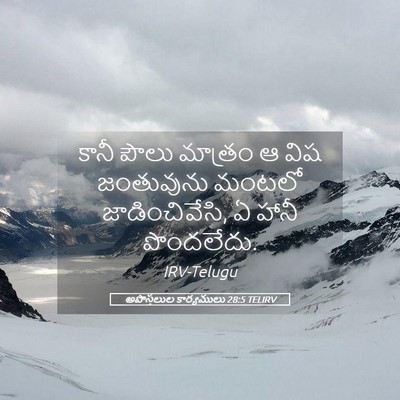 Picture 05 - అపొస్తలుల కార్యములు 28:5 TELIRV - కానీ పౌలు మాత్రం ఆ - Bible Verse Picture