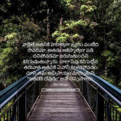 Picture 05 - అపొస్తలుల కార్యములు 28:6 TELIRV - వారైతే అతనికి - Bible Verse Picture