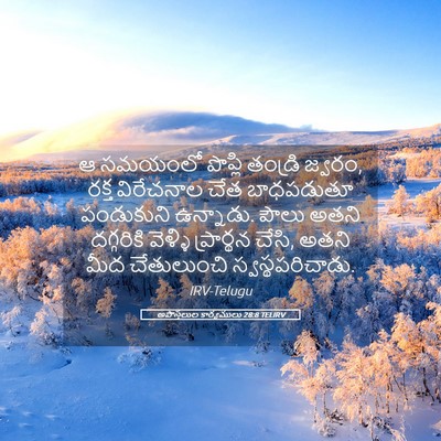 Picture 05 - అపొస్తలుల కార్యములు 28:8 TELIRV - ఆ సమయంలో పొప్లి - Bible Verse Picture