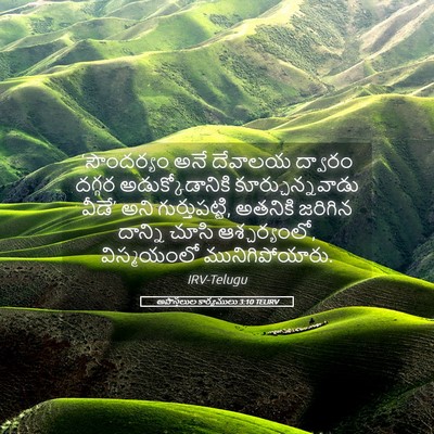 Picture 05 - అపొస్తలుల కార్యములు 3:10 TELIRV - ‘సౌందర్యం అనే - Bible Verse Picture