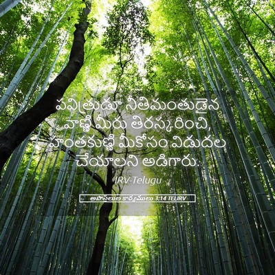 Picture 05 - అపొస్తలుల కార్యములు 3:14 TELIRV - పవిత్రుడూ - Bible Verse Picture