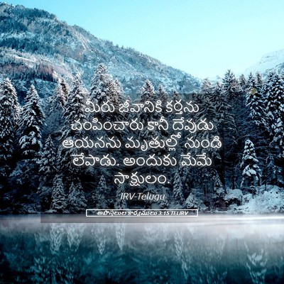Picture 05 - అపొస్తలుల కార్యములు 3:15 TELIRV - మీరు జీవానికి - Bible Verse Picture