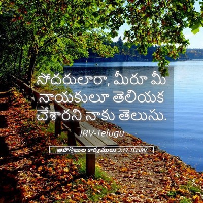Picture 05 - అపొస్తలుల కార్యములు 3:17 TELIRV - సోదరులారా, మీరూ మీ - Bible Verse Picture