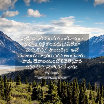 Picture 05 - అపొస్తలుల కార్యములు 3:2 TELIRV - పుట్టినప్పటి - Bible Verse Picture