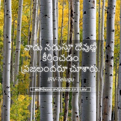 Picture 05 - అపొస్తలుల కార్యములు 3:9 TELIRV - వాడు నడుస్తూ - Bible Verse Picture