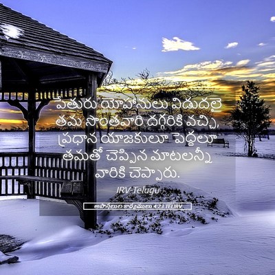 Picture 05 - అపొస్తలుల కార్యములు 4:23 TELIRV - పేతురు యోహానులు - Bible Verse Picture