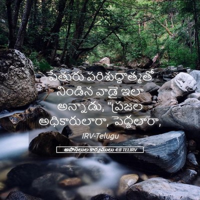 Picture 05 - అపొస్తలుల కార్యములు 4:8 TELIRV - పేతురు - Bible Verse Picture