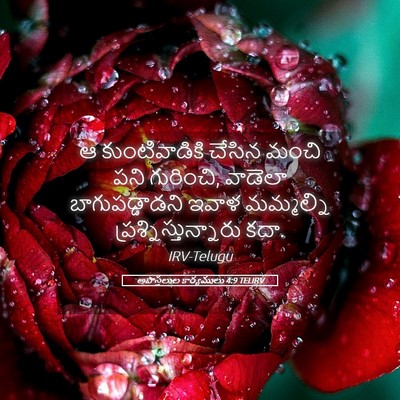 Picture 05 - అపొస్తలుల కార్యములు 4:9 TELIRV - ఆ కుంటివాడికి - Bible Verse Picture