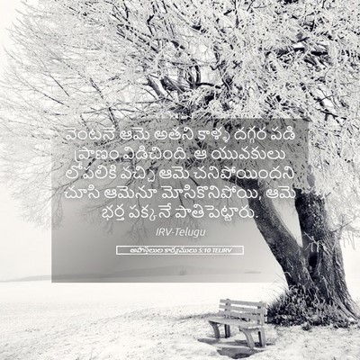 Picture 05 - అపొస్తలుల కార్యములు 5:10 TELIRV - వెంటనే ఆమె అతని - Bible Verse Picture