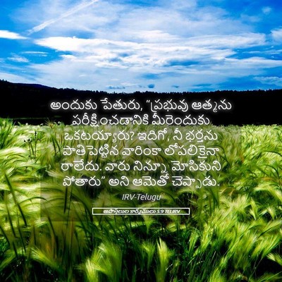 Picture 05 - అపొస్తలుల కార్యములు 5:9 TELIRV - అందుకు పేతురు, - Bible Verse Picture