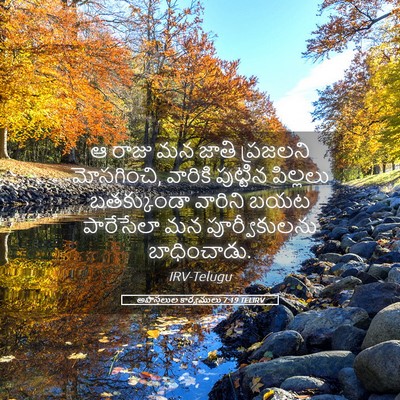 Picture 05 - అపొస్తలుల కార్యములు 7:19 TELIRV - ఆ రాజు మన జాతి - Bible Verse Picture