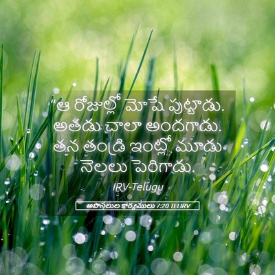 Picture 05 - అపొస్తలుల కార్యములు 7:20 TELIRV - “ఆ రోజుల్లో మోషే - Bible Verse Picture