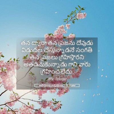 Picture 05 - అపొస్తలుల కార్యములు 7:25 TELIRV - తన ద్వారా తన - Bible Verse Picture