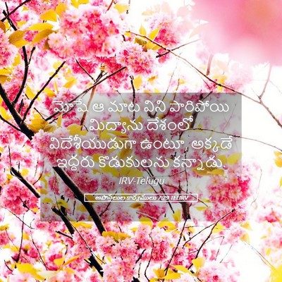 Picture 05 - అపొస్తలుల కార్యములు 7:29 TELIRV - మోషే ఆ మాట విని - Bible Verse Picture