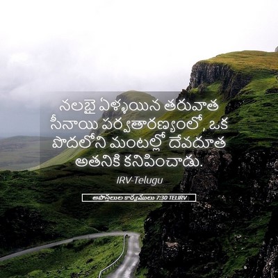 Picture 05 - అపొస్తలుల కార్యములు 7:30 TELIRV - నలభై ఏళ్ళయిన - Bible Verse Picture